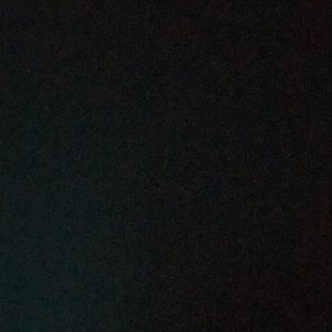 Meet your Posher, Taryn